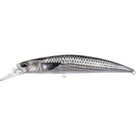 DST0804 Salmonete ND