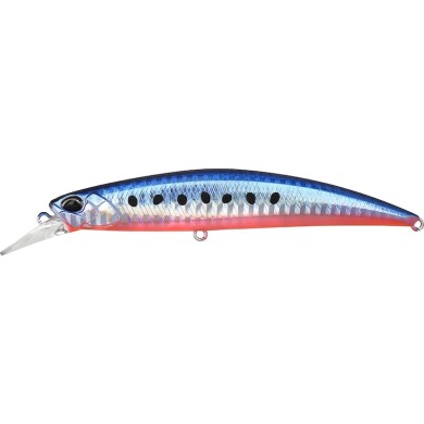 AHA0087 Mazume Sardina