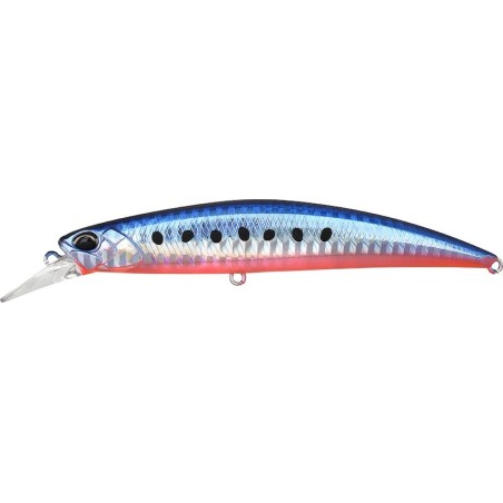 AHA0087 Mazume Sardina