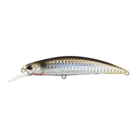 DBA0157 WAKA MULLET
