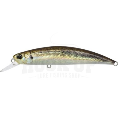 ANA0488 REAL AJI