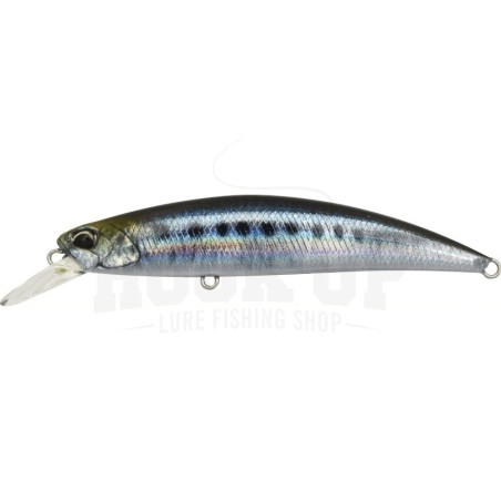 CMA0486 SARDINA REAL