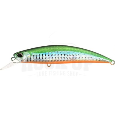 AQA0283 TIRANGA OB