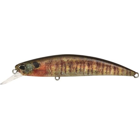 CCC3357 TRUE GILL (UF)