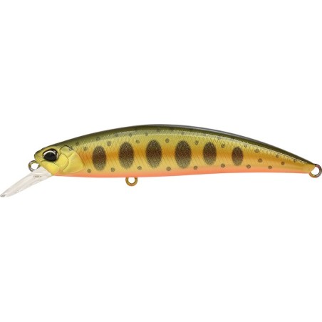 ANIZ371 YAMAME NATURAL OB (SP-C)
