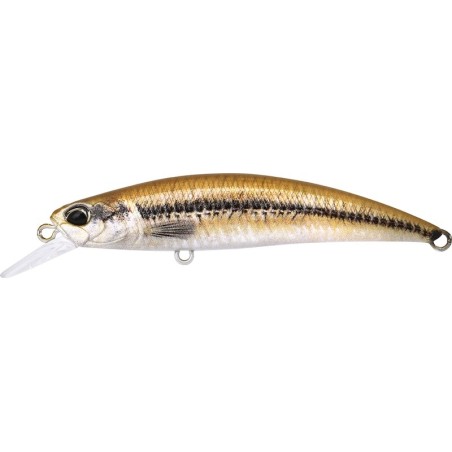 ACCZ069 Pececillo (Spec. Osaka)