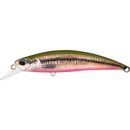 ACC4830 Vairon Green Back Red Belly