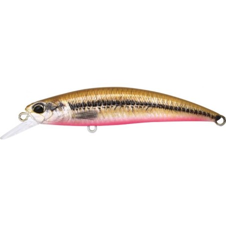 ACC4824 Peces Red Belly