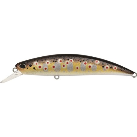 CCCZ333 FARIO REAL (UF)