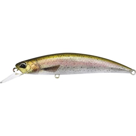 CCC3836 Rainbow Trout ND