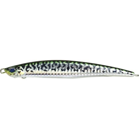 AHA0109 Mackerel