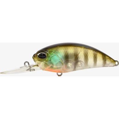 CCC3158 GHOST GILL