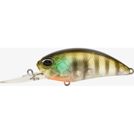 CCC3158 GHOST GILL