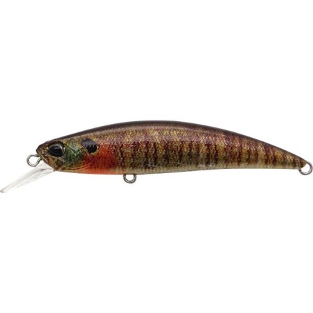 CCC3357 TRUE GILL (UF)