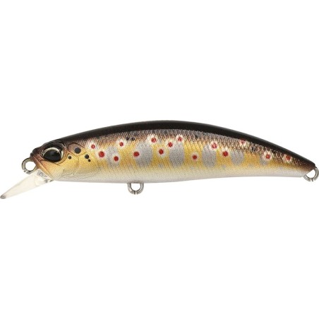 CCCZ333 FARIO REAL (UF)