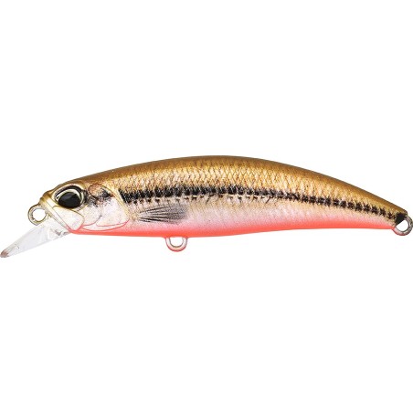 ACC4824 Peces Red Belly
