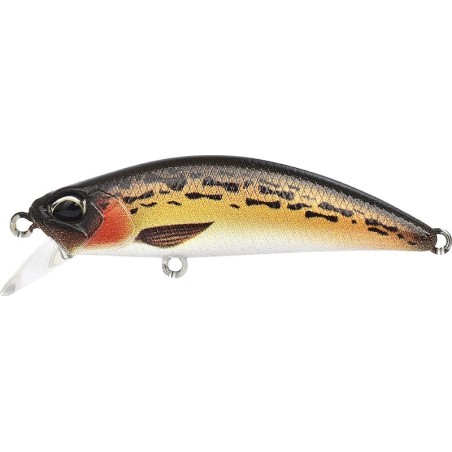 ACCZ283 GOBIE MARRON