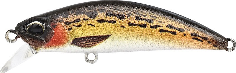 Duo Ryuki 60 S - Photo 38/62