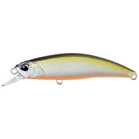 MNI4047 Sábalo de Tennessee