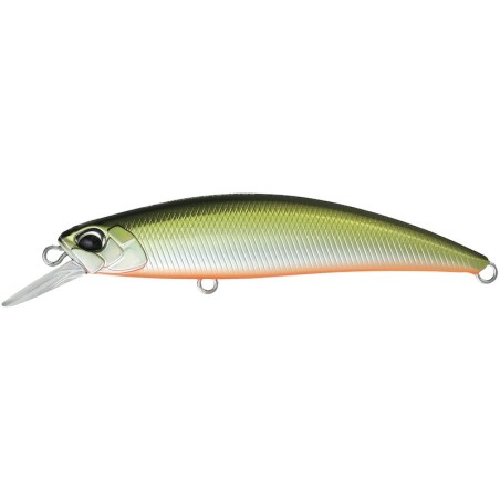 MNI4047 Sábalo de Tennessee
