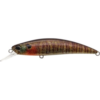 CCC3357 TRUE GILL (UF)