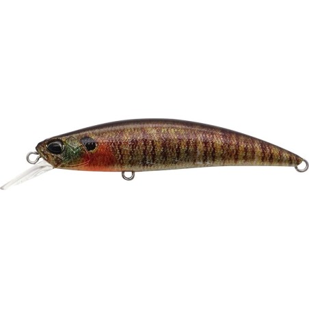 CCC3357 TRUE GILL (UF)