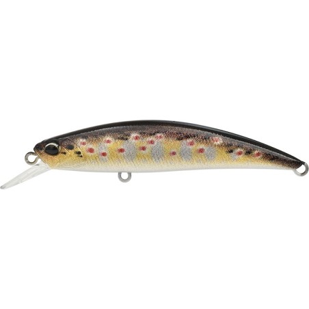 CCCZ333 FARIO REAL (UF)