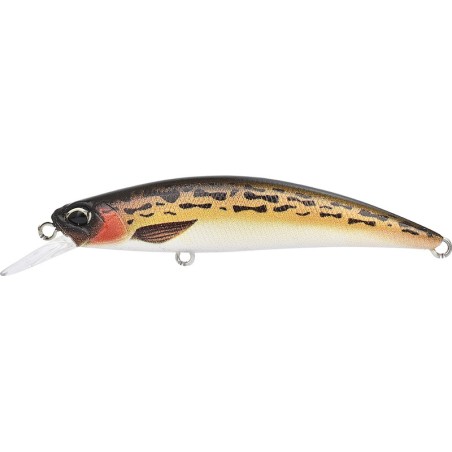 ACCZ283 GOBIE MARRON