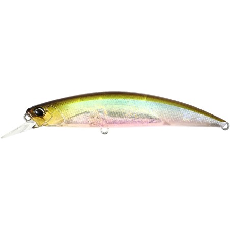 GEA3006 Pececillo fantasma