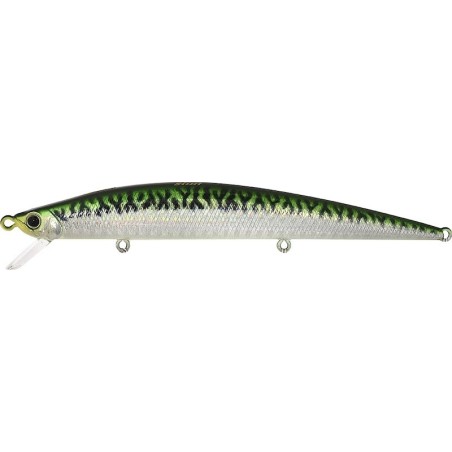 AHA0109 Caballa HD