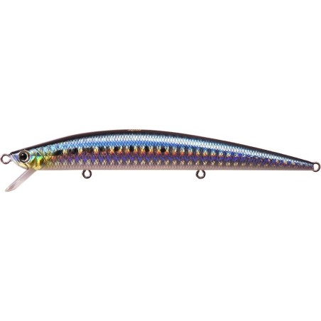 AHA0011 Sardinas