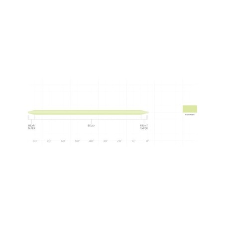 Scientific Anglers Frequency Trout DT