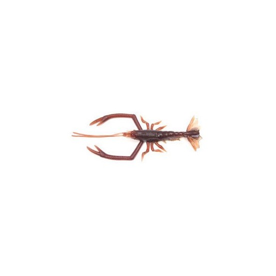 Vagabond Crust Bug