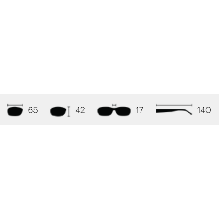 Smith Optics Transfer ChromaPop Polarized