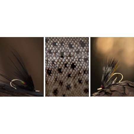 Ahrex HR428G Tying Double - 5pcs/pk