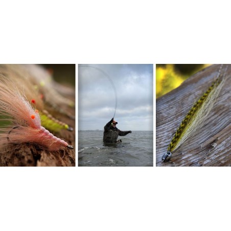 Ahrex NS150 Curved Shrimp - 18pcs/pk