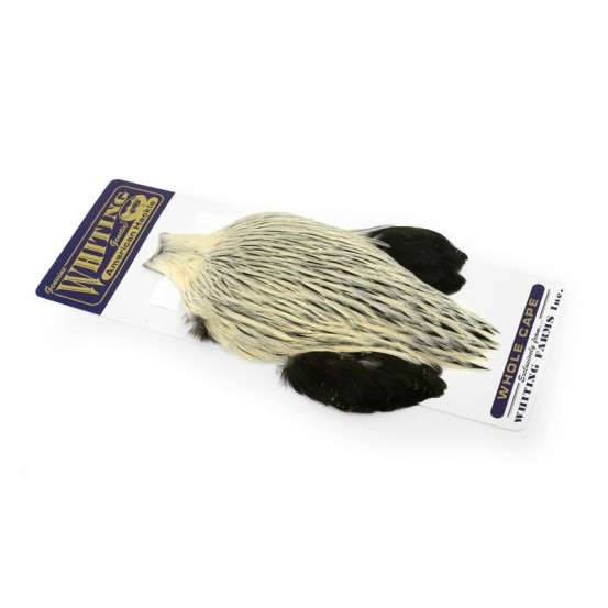 Whiting Farms American Rooster Cape