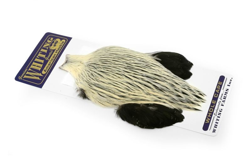 Capa de gallo americano Whiting Farms - Imagen 22 de 43