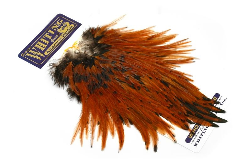 Whiting Farms American Rooster Saddle - Imagen 23 de 36