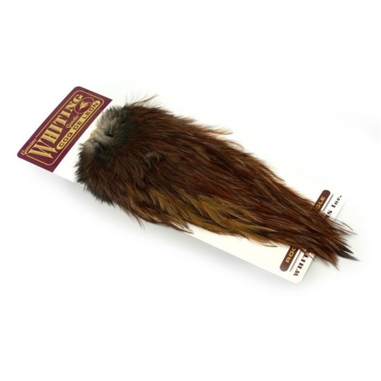 Whiting Farms Rooster Coq De Leon Gold Saddle