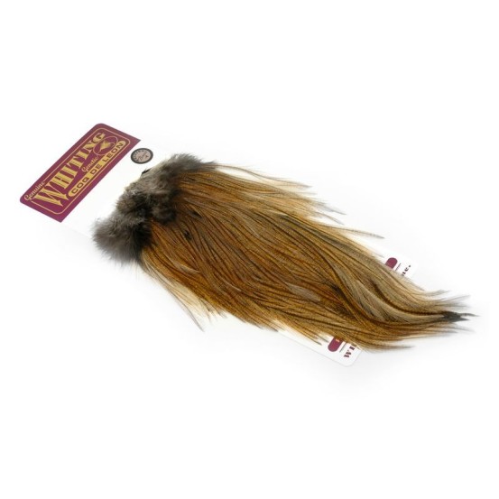 Whiting Farms Rooster Coq de Leon Bronze Saddle