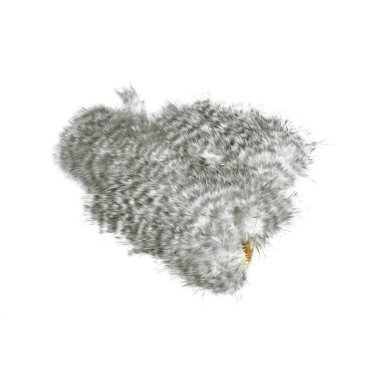 Whiting Farms Spey Soft Hackle Chickabou