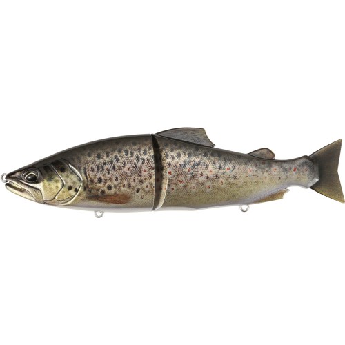 CCC3815 Brown Trout ND