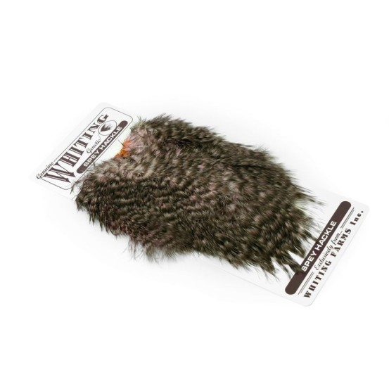 Whiting Farms Spey Hackle Hen Saddle