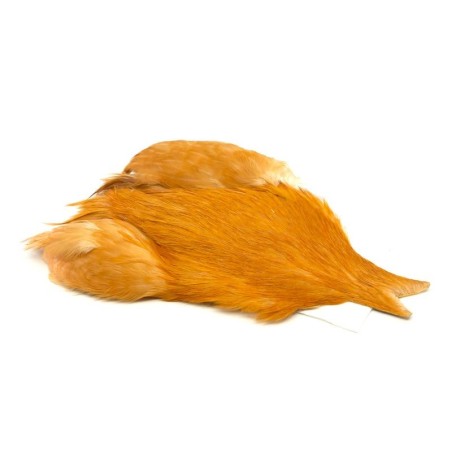 Medium Ginger