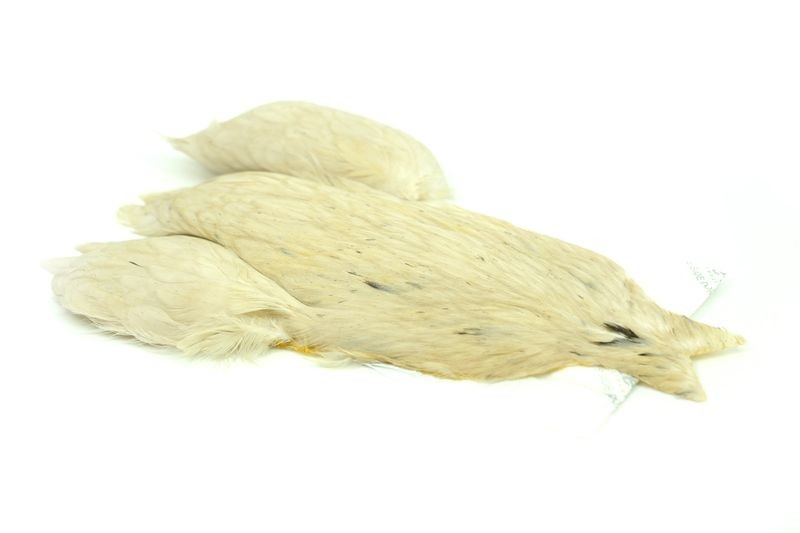 Whiting Farms 4 B's Hen Cape - Imagen 17 de 24