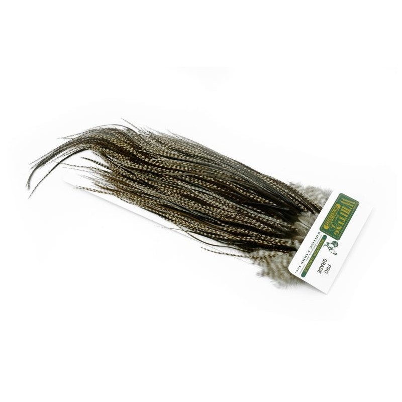 Whiting Farms Rooster Hebert Bronze Saddle