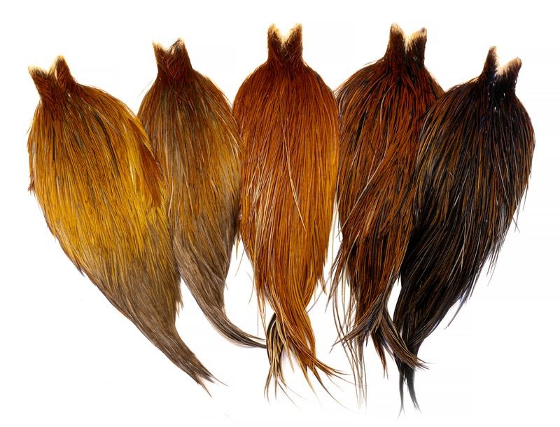 Whiting Farms Heritage Rooster Hackle Cape - Imagen 8 de 12