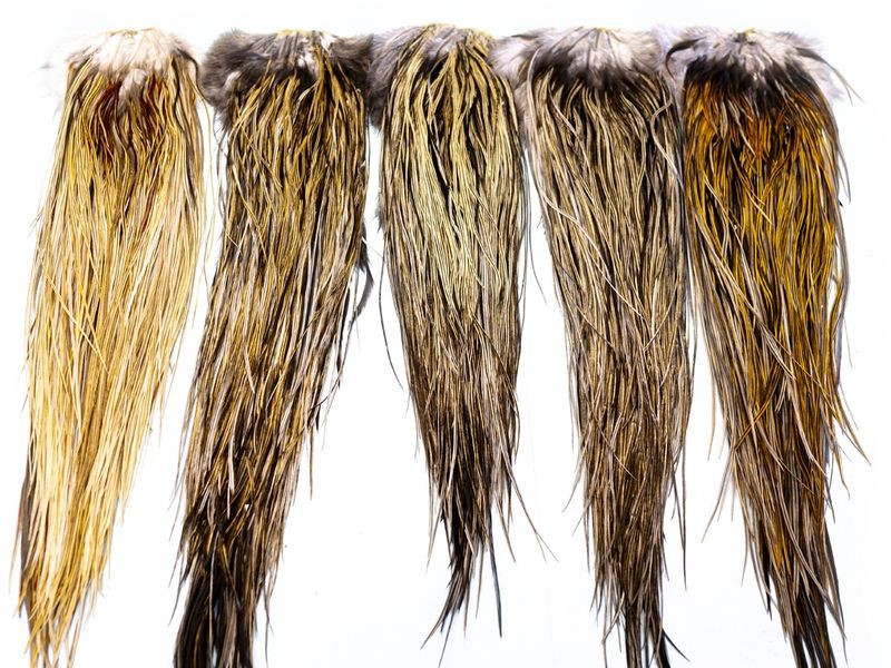 Whiting Farms Heritage Rooster Hackle Saddle - Picture 10 of 12