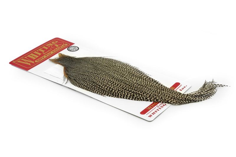 Whiting Farms Rooster Silver Cape - Imagen 33 de 52